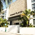 Penthouse Zona Centro Quinta Av 2Bd,2 Bt