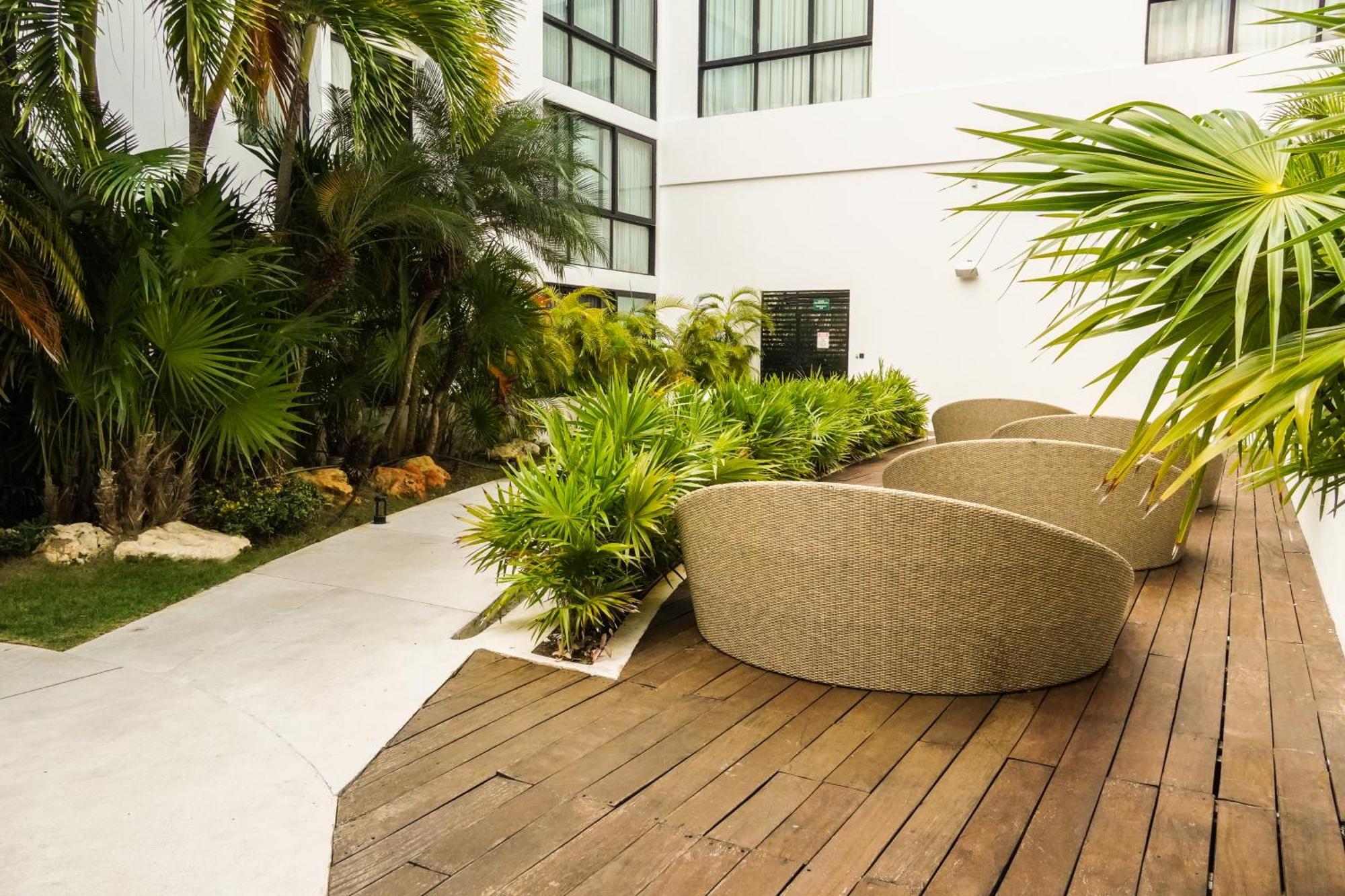 Penthouse Zona Centro Quinta Av 2bd,2 Bt Apartamento