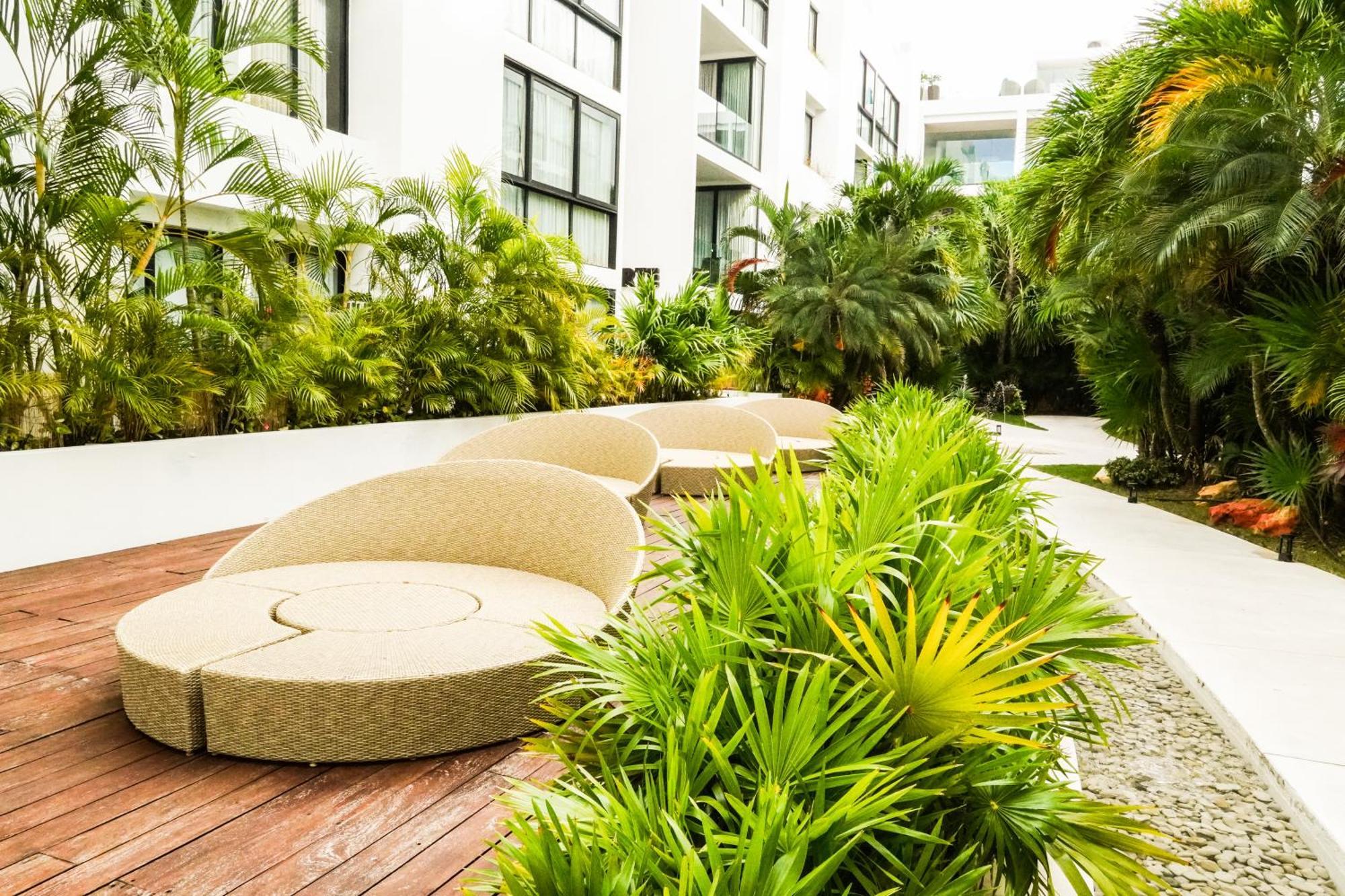 Apartamento Penthouse Zona Centro Quinta Av 2bd,2 Bt *