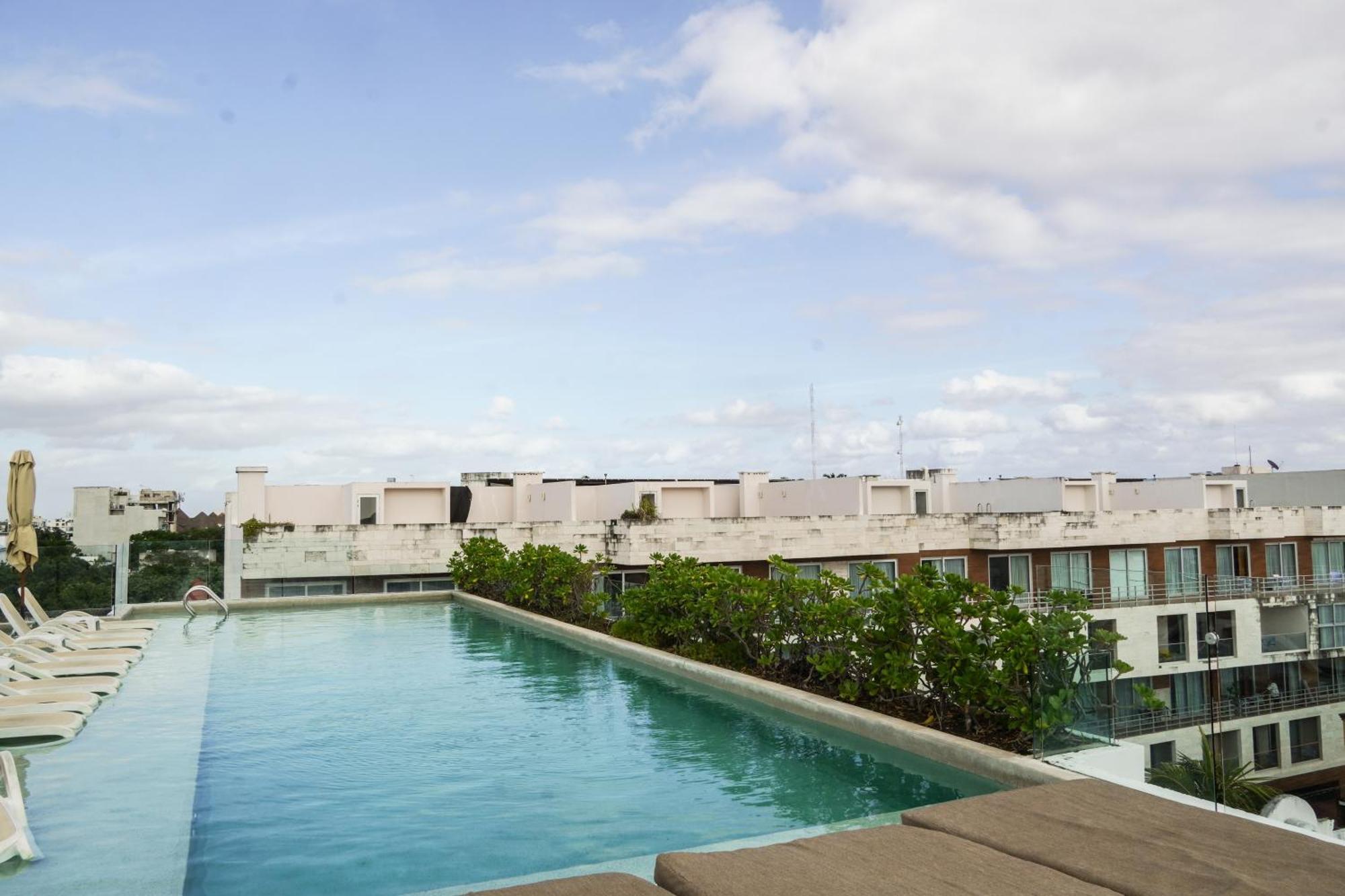 Apartamento Penthouse Zona Centro Quinta Av 2bd,2 Bt *